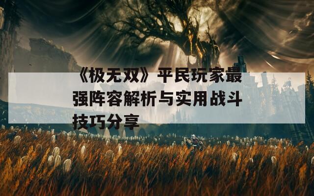 《极无双》平民玩家最强阵容解析与实用战斗技巧分享