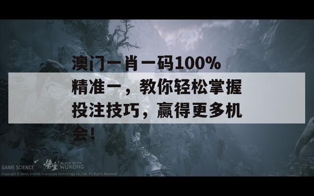 澳门一肖一码100%精准一，教你轻松掌握投注技巧，赢得更多机会！