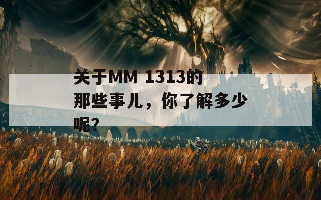 关于MM 1313的那些事儿，你了解多少呢？