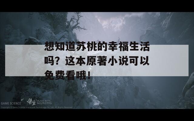 想知道苏桃的幸福生活吗？这本原著小说可以免费看哦！