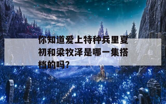 你知道爱上特种兵里夏初和梁牧泽是哪一集搭档的吗？  第1张