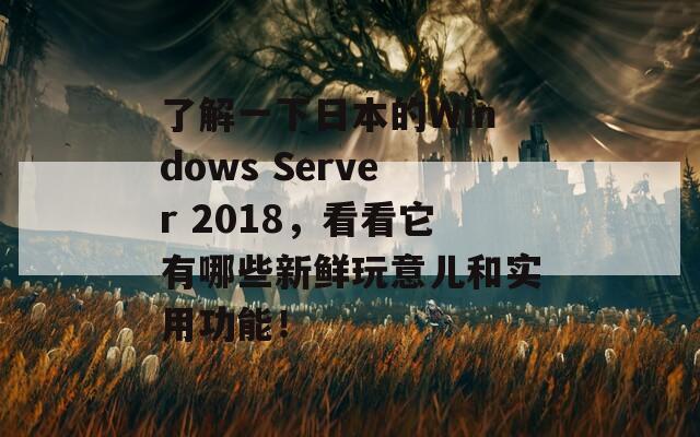 了解一下日本的Windows Server 2018，看看它有哪些新鲜玩意儿和实用功能！