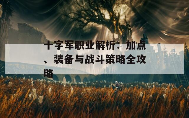 十字军职业解析：加点、装备与战斗策略全攻略  第1张