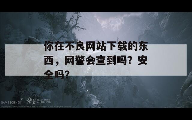 你在不良网站下载的东西，网警会查到吗？安全吗？