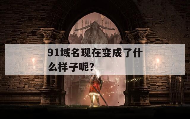 91域名现在变成了什么样子呢？  第1张