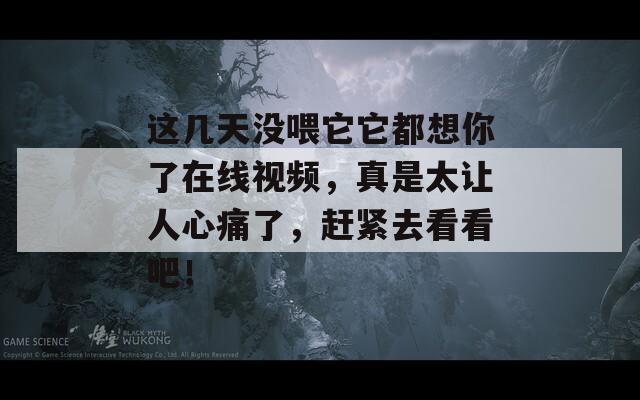 这几天没喂它它都想你了在线视频，真是太让人心痛了，赶紧去看看吧！