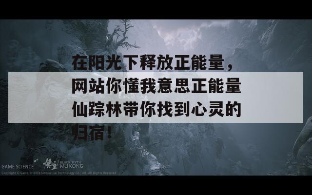 在阳光下释放正能量，网站你懂我意思正能量仙踪林带你找到心灵的归宿！