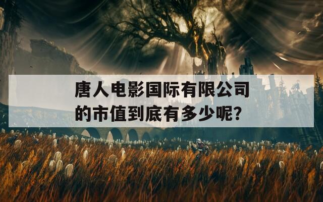 唐人电影国际有限公司的市值到底有多少呢？