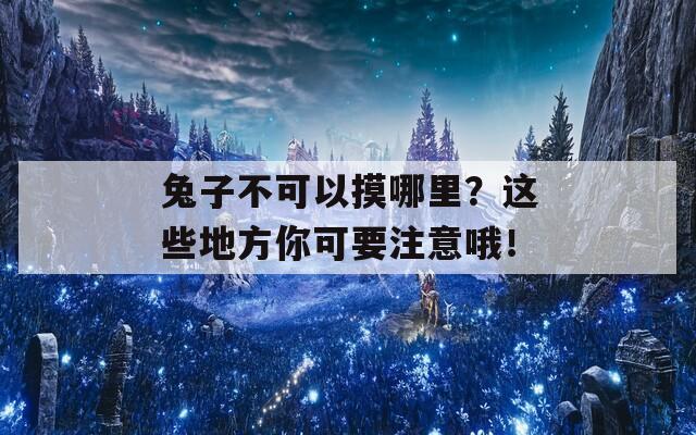 兔子不可以摸哪里？这些地方你可要注意哦！