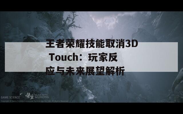 王者荣耀技能取消3D Touch：玩家反应与未来展望解析