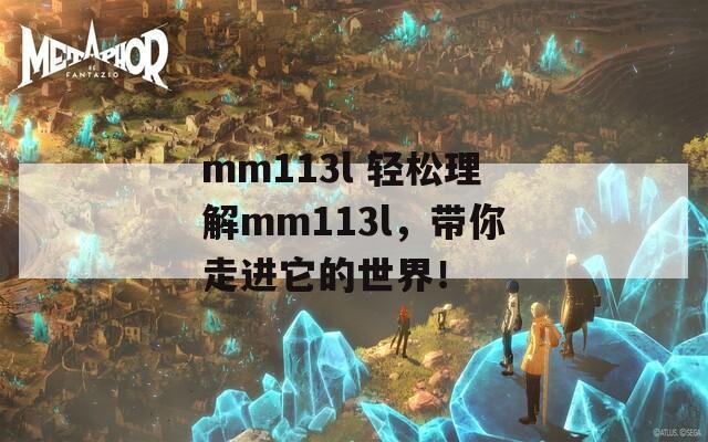 mm113l 轻松理解mm113l，带你走进它的世界！