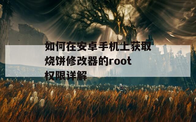 如何在安卓手机上获取烧饼修改器的root权限详解