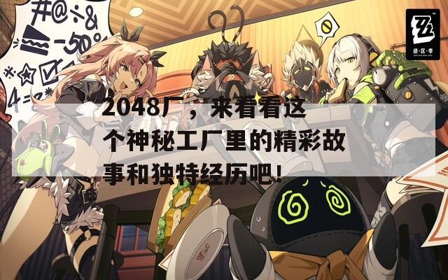 2048厂，来看看这个神秘工厂里的精彩故事和独特经历吧！