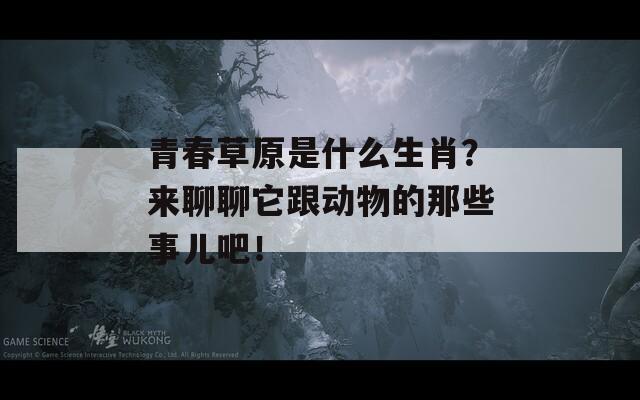 青春草原是什么生肖？来聊聊它跟动物的那些事儿吧！