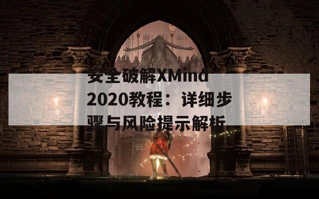 安全破解XMind 2020教程：详细步骤与风险提示解析