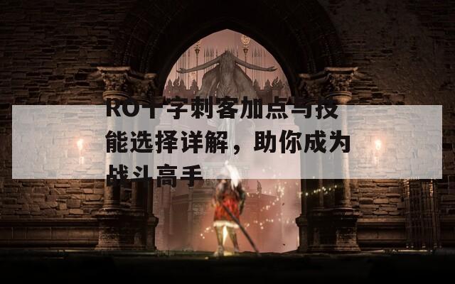 RO十字刺客加点与技能选择详解，助你成为战斗高手