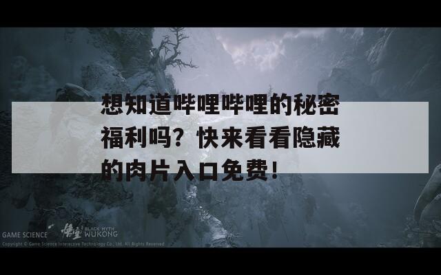 想知道哔哩哔哩的秘密福利吗？快来看看隐藏的肉片入口免费！