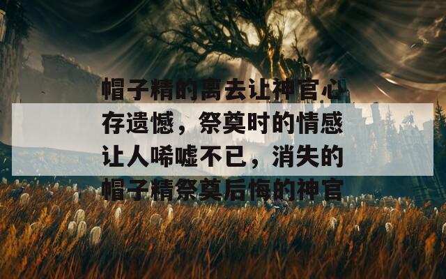 帽子精的离去让神官心存遗憾，祭奠时的情感让人唏嘘不已，消失的帽子精祭奠后悔的神官  第1张