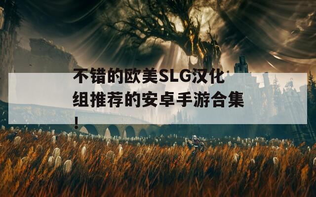 不错的欧美SLG汉化组推荐的安卓手游合集！  第1张