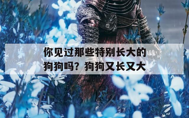 你见过那些特别长大的狗狗吗？狗狗又长又大