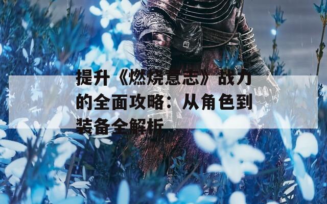 提升《燃烧意志》战力的全面攻略：从角色到装备全解析  第1张