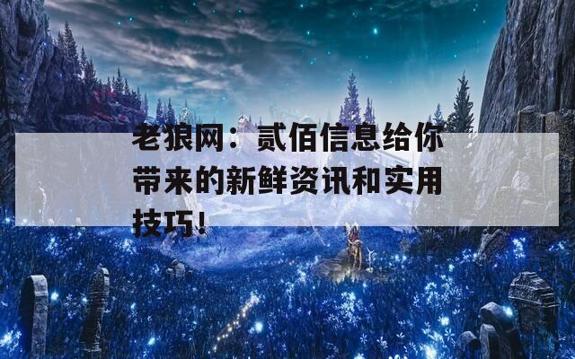 老狼网：贰佰信息给你带来的新鲜资讯和实用技巧！